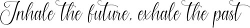 Inhale the future exhale - inhale,