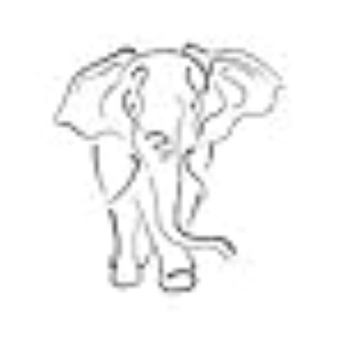 Tattoo temporaneo elefante - temporaneo,